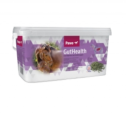 Pavo GutHealth - For en stabil tarm funktion